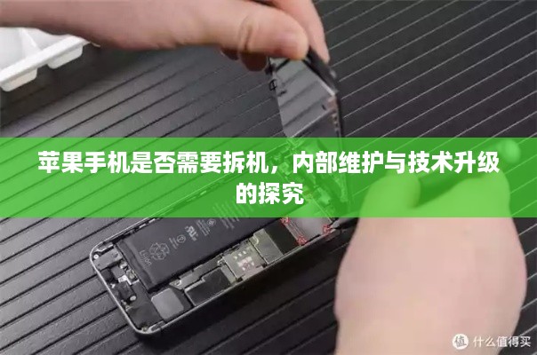 苹果手机是否需要拆机，内部维护与技术升级的探究