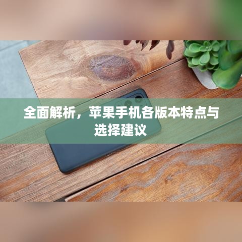 全面解析，苹果手机各版本特点与选择建议
