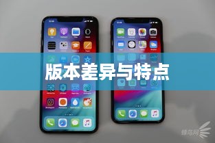 全面解析，苹果XR系列手机版本差异与特点