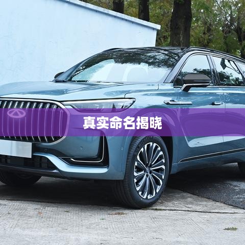 揭秘，苹果手机7的真实命名揭晓