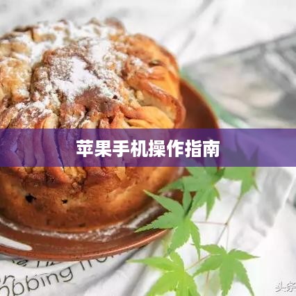 苹果手机日常操作指南，如何有效记录生活技巧与操作技巧