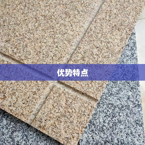 厚实苹果手机的特点与优势解析