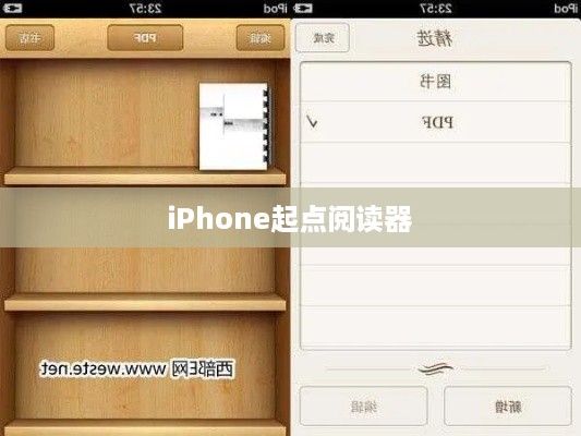 iPhone起点阅读器支持的电子书格式及阅读体验深度解析