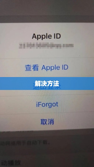 常见苹果手机ID登录问题及解决方法