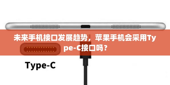 未来手机接口发展趋势，苹果手机会采用Type-C接口吗？