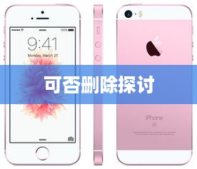 关于苹果查找iPhone功能可否删除的探讨
