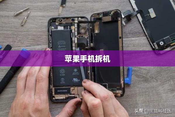 探究苹果手机是否需要拆机的背后原因与情境分析