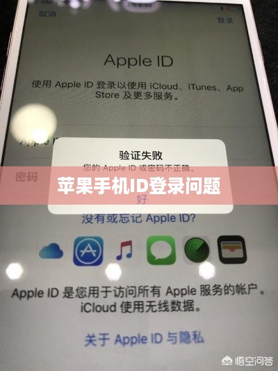 苹果手机ID登录问题解析与解决方案探讨
