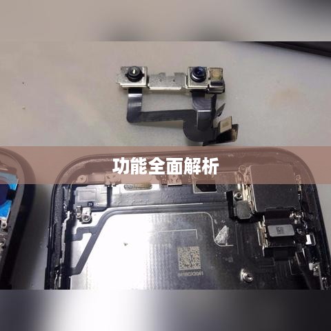 苹果XR手机功能全面解析