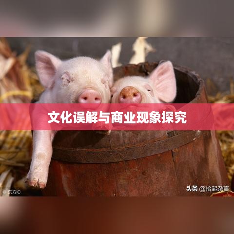 美国苹果手机与子弹背后的文化误解与商业现象探究