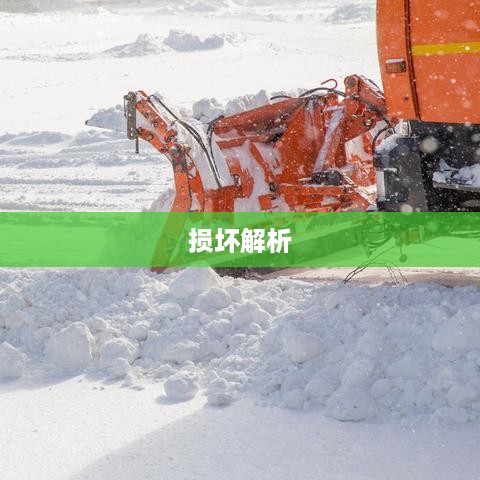 苹果手机振动功能是否会损坏的探讨与解析