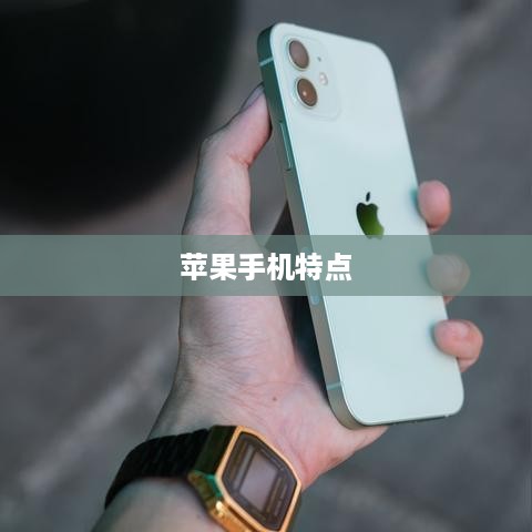 全面解析，不同版本苹果手机的特点与选择建议