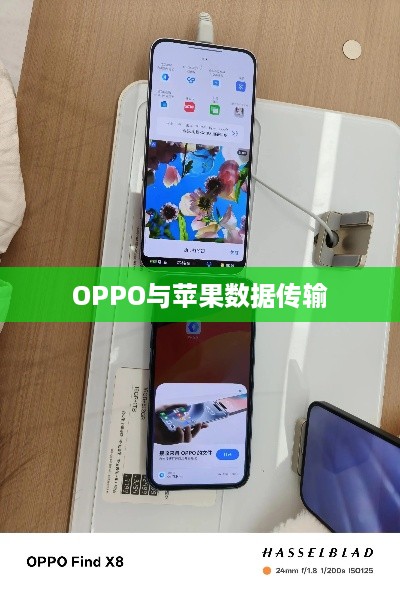 OPPO与苹果间数据传输互通性探讨