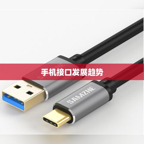 未来手机接口发展趋势，苹果手机会采用Type-C接口吗？