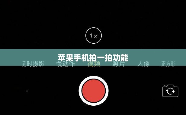 苹果手机拍一拍功能的多样应用与实用价值探索