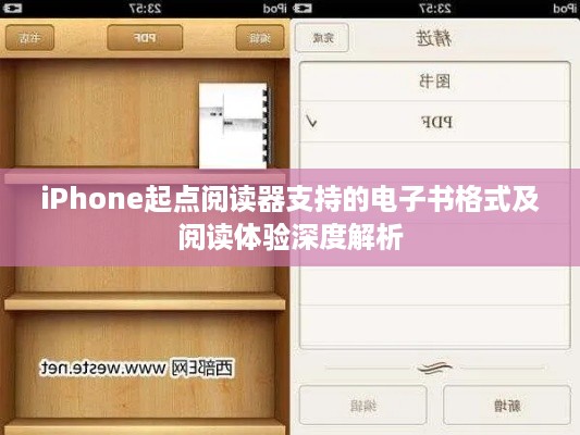 iPhone起点阅读器支持的电子书格式及阅读体验深度解析