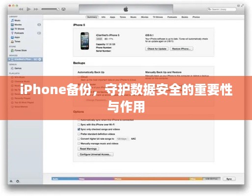 iPhone备份，守护数据安全的重要性与作用