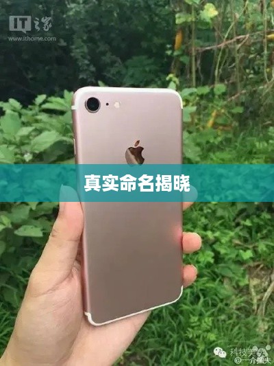 揭秘，苹果手机7的真实命名揭晓
