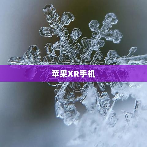 苹果XR手机功能全面解析
