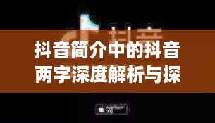 抖音简介中的抖音两字深度解析与探讨  第1张