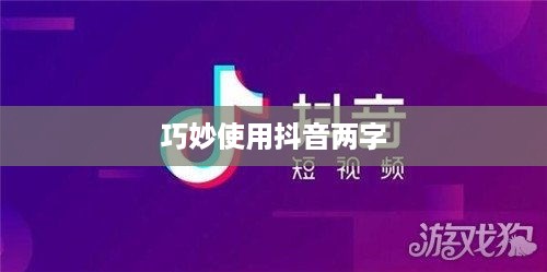 抖音简介关键词运用技巧，如何巧妙使用抖音两字？