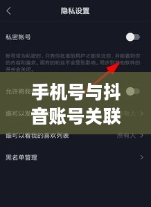 手机号与抖音账号关联及隐私安全解析，手机号能否查找到抖音？