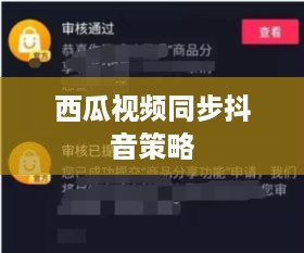 西瓜视频同步抖音策略探讨，两个抖音的联动效应分析