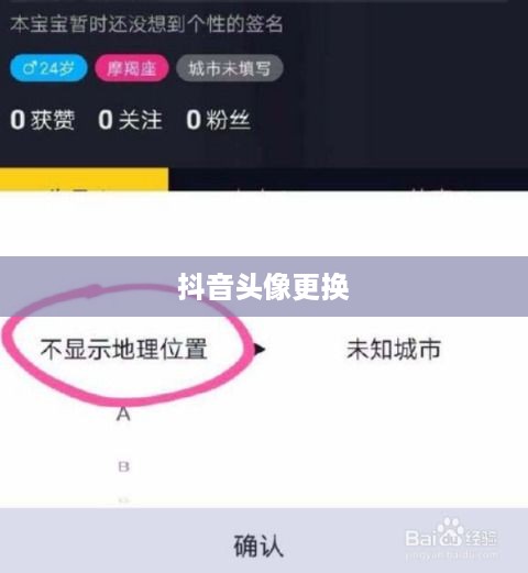 抖音头像更换指南，轻松变换头像攻略  第1张