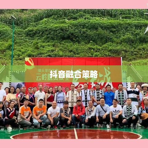 西瓜视频与抖音同步融合策略探讨