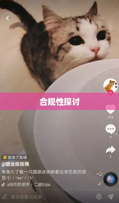 抖音养猫行为合规性探讨