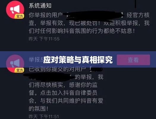 抖音被举报后能否正常使用？探究背后的真相与应对策略  第1张