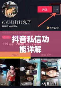 抖音私信功能详解，轻松上手，每日私信操作指南