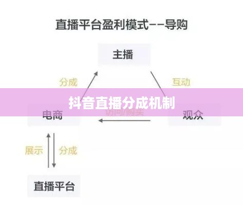 抖音直播的分成机制与盈利模式揭秘，平台抽成比例探究