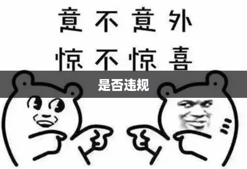 深度探讨与解析，抖音养猫行为是否违规？  第1张