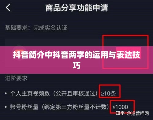 抖音简介中抖音两字的运用与表达技巧