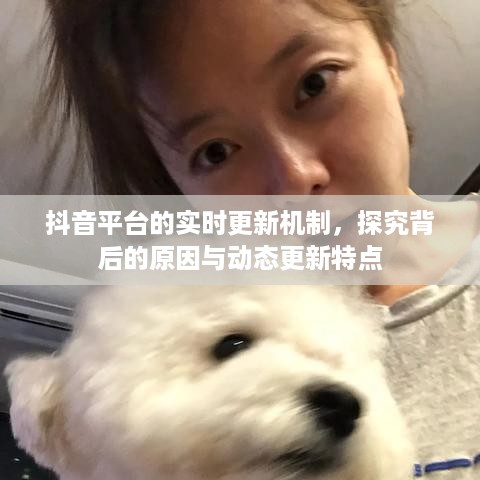 抖音平台的实时更新机制，探究背后的原因与动态更新特点  第1张