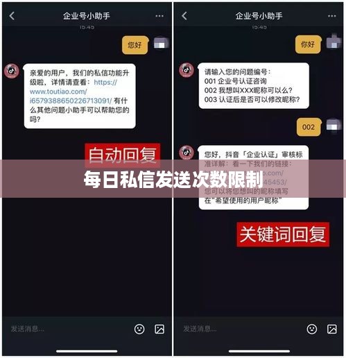 抖音私信功能详解，使用、限制与每日私信发送次数探讨