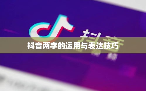 抖音简介中抖音两字的运用与表达技巧