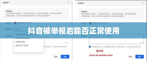 抖音被举报后能否正常使用？探究背后的真相与应对策略