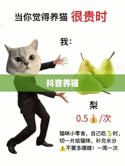 抖音养猫行为合规性探讨