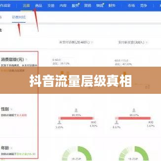 深度解析抖音流量分配机制，探究抖音流量层级真相