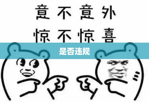 深度解析与探讨，抖音养猫行为是否违规？  第1张