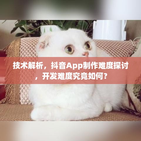 技术解析，抖音App制作难度探讨，开发难度究竟如何？  第1张