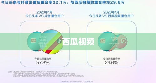 西瓜视频与抖音同步融合策略探讨