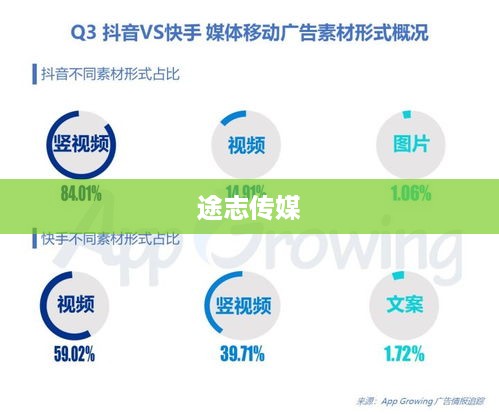 途志传媒在抖音平台的业务可靠性分析