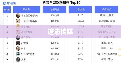 途志传媒在抖音平台的业务可靠性分析