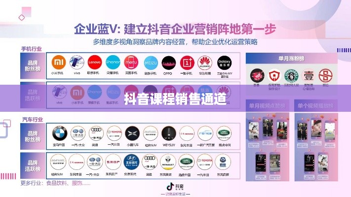 抖音课程销售通道与策略深度探讨