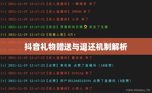 抖音礼物赠送与退还机制解析