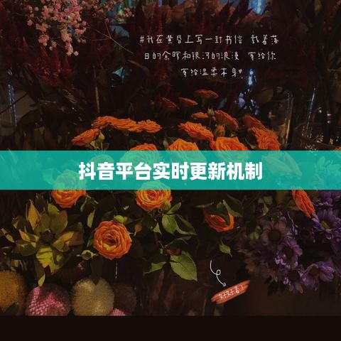 抖音平台的实时更新机制与用户需求探究