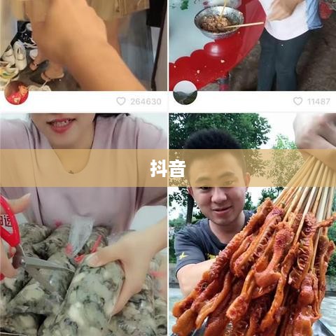抖音简介中的抖音二字深度解析  第1张